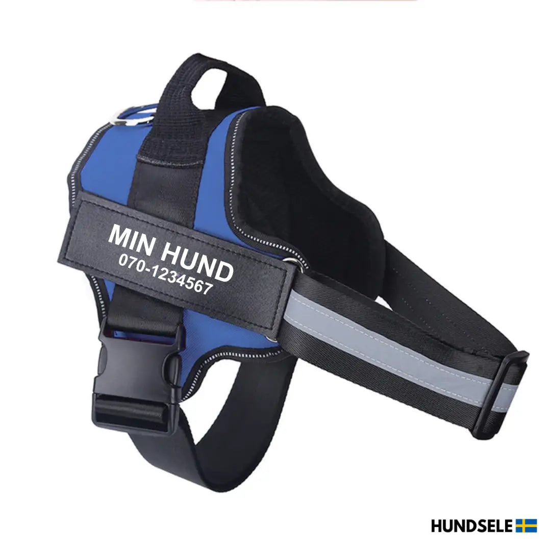 Blå hundsele med namnet 'Min Hund' och telefonnummer '070-1234567' tryckt på sidan. Lätt och slitstark hundsele för daglig användning, perfekt för alla hundraser. Köp din personliga sele på hund-sele.se