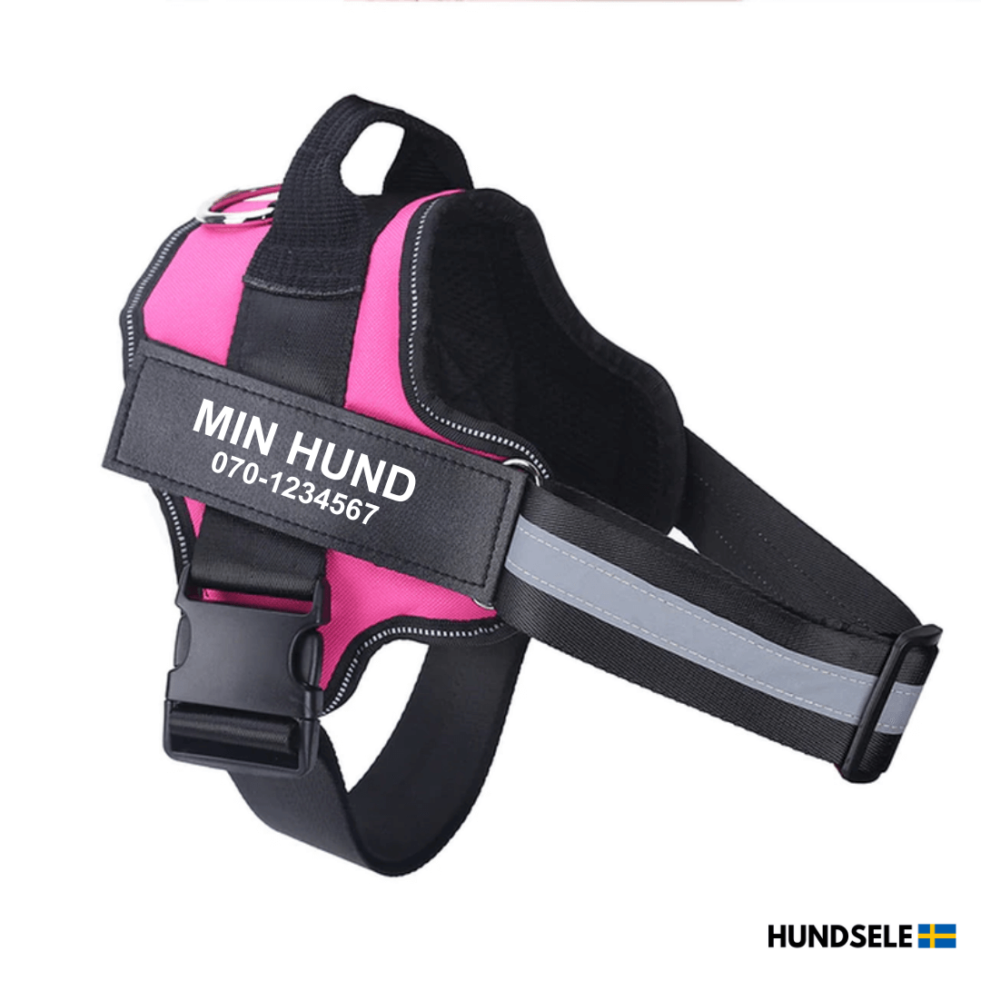 Rosa hundsele med namnet 'Min Hund' och telefonnummer '070-1234567' tryckt på sidan. Lätt och slitstark hundsele för daglig användning, perfekt för alla hundraser. Köp din personliga sele på hund-sele.se