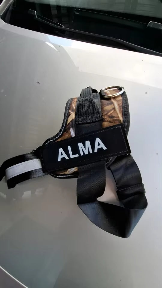 Hundsele med reflex och texten 'ALMA' tryckt på sidan, idealisk för säkerhet och personlig anpassning vid promenader, särskilt i mörker.