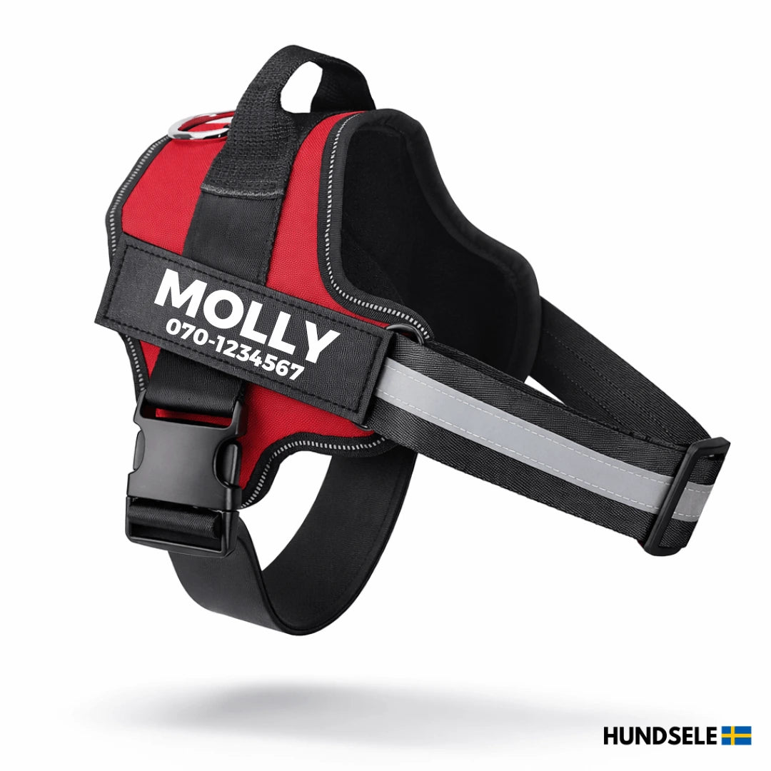 Röd hundsele med namntryck och reflex – personlig hundsele med handtag och ryggfäste för promenader.