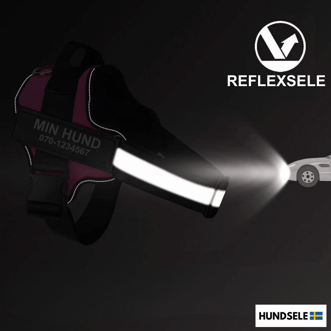 Reflexband på hundsele som lyser upp när en bil har ljuset på den, text HUNDSELE finns nere i högra hörnet
