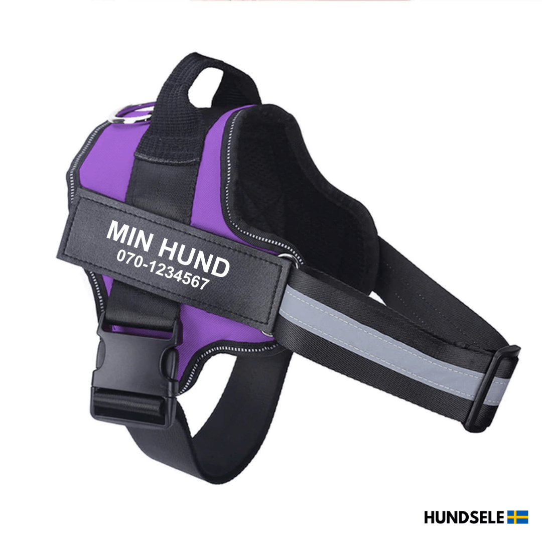 Lila hundsele med namnet 'Min Hund' och telefonnummer '070-1234567' tryckt på sidan. Robust och hållbar hundsele för aktiva hundar, designad för komfort och säkerhet. Beställ från hund-sele.se.