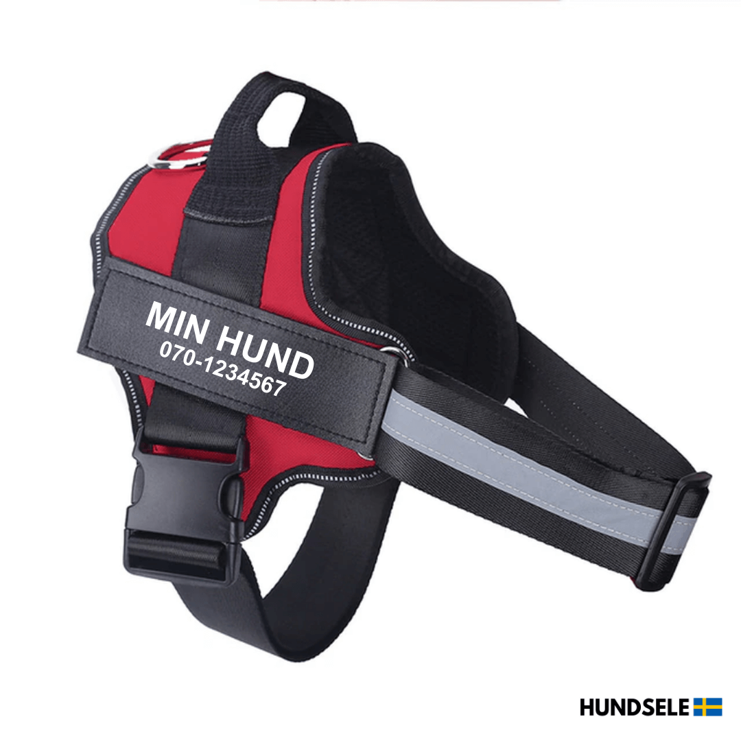Röd hundsele med namnet 'Min Hund' och telefonnummer '070-1234567' tryckt på sidan. Lätt och slitstark hundsele för daglig användning, perfekt för alla hundraser. Köp din personliga sele på hund-sele.se