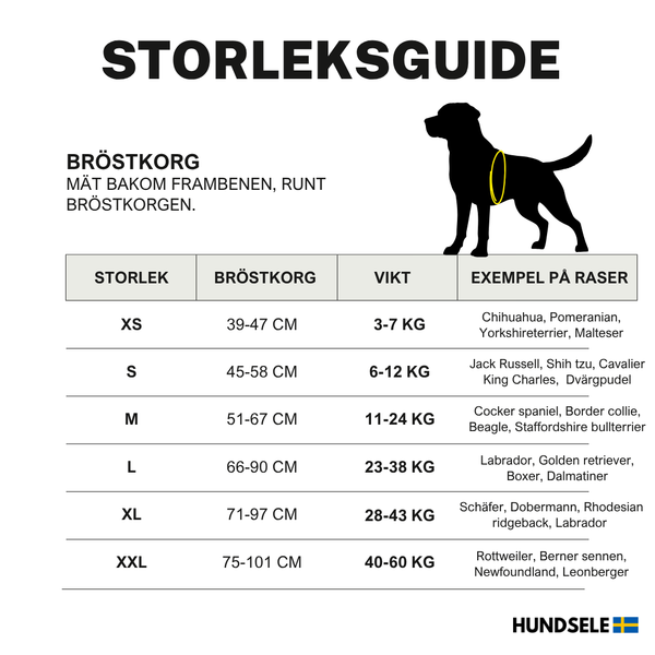 Personlig Hundsele med Namn & Telefonnummer