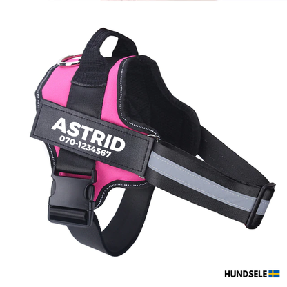 Hundsele med Namn och Telefonnummer