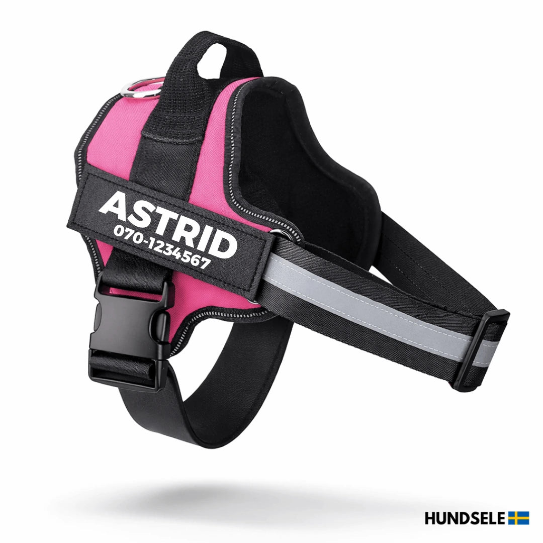 Rosa hundsele med namntryck och reflex – personlig hundsele med handtag och ryggfäste för extra kontroll.