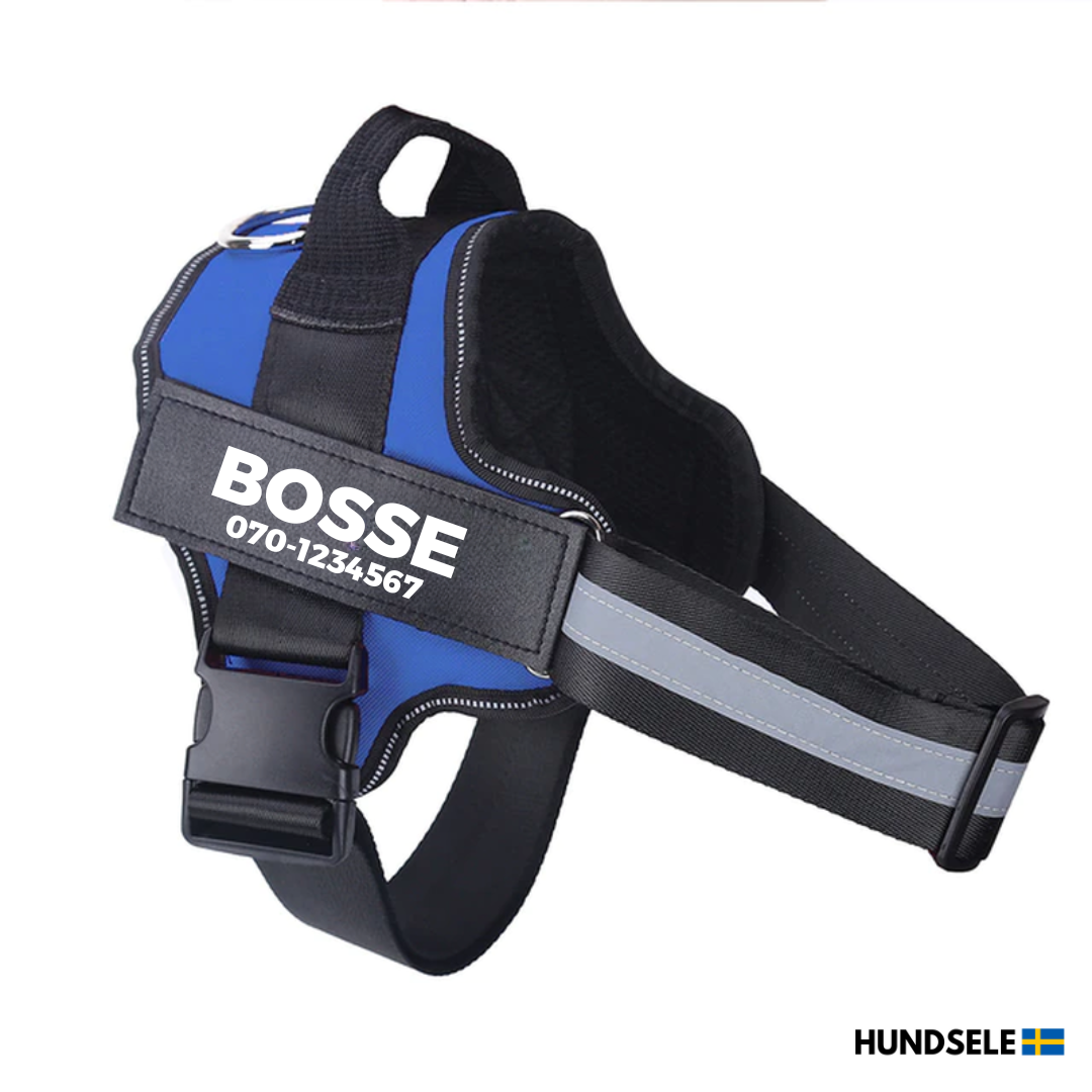 Hundsele med Namn och Telefonnummer