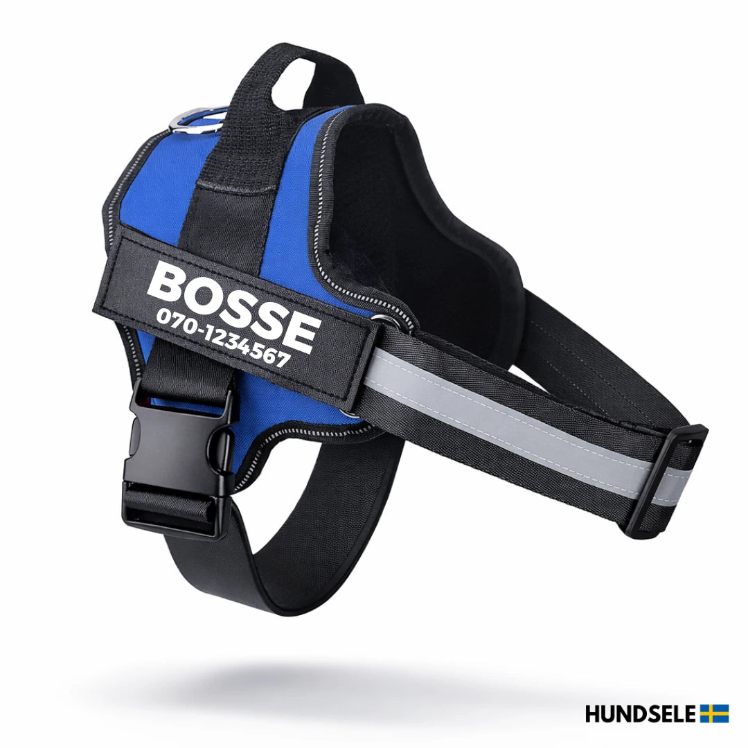Blå hundsele med namntryck och reflex – personlig hundsele med handtag och ryggfäste för koppel.