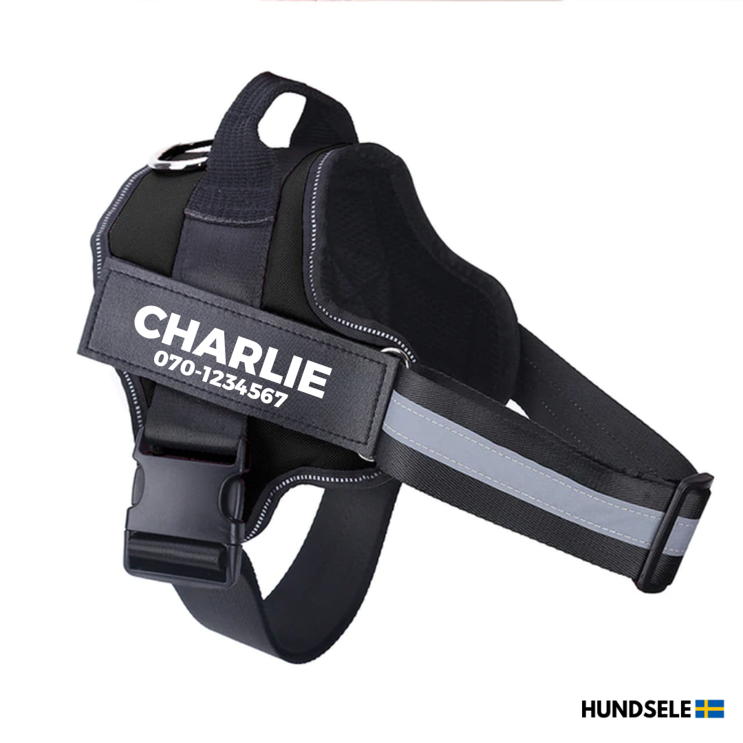 Hundsele med Namn och Telefonnummer