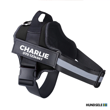 Hundsele med Namn och Telefonnummer