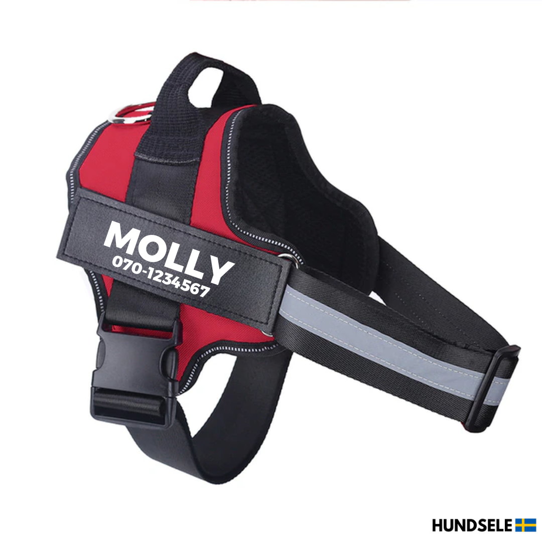 Hundsele med Namn och Telefonnummer